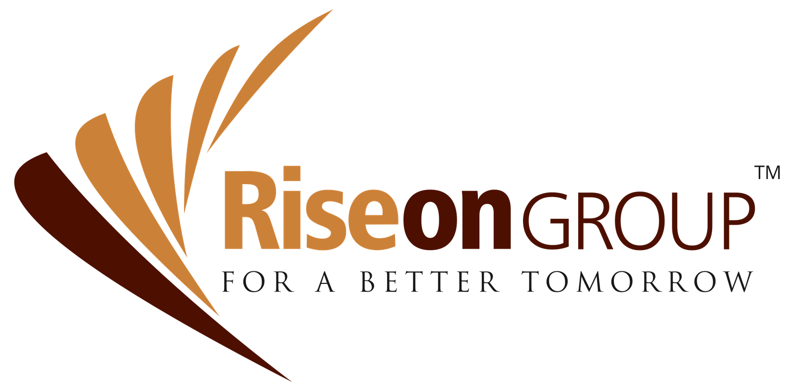 riseongroup.in